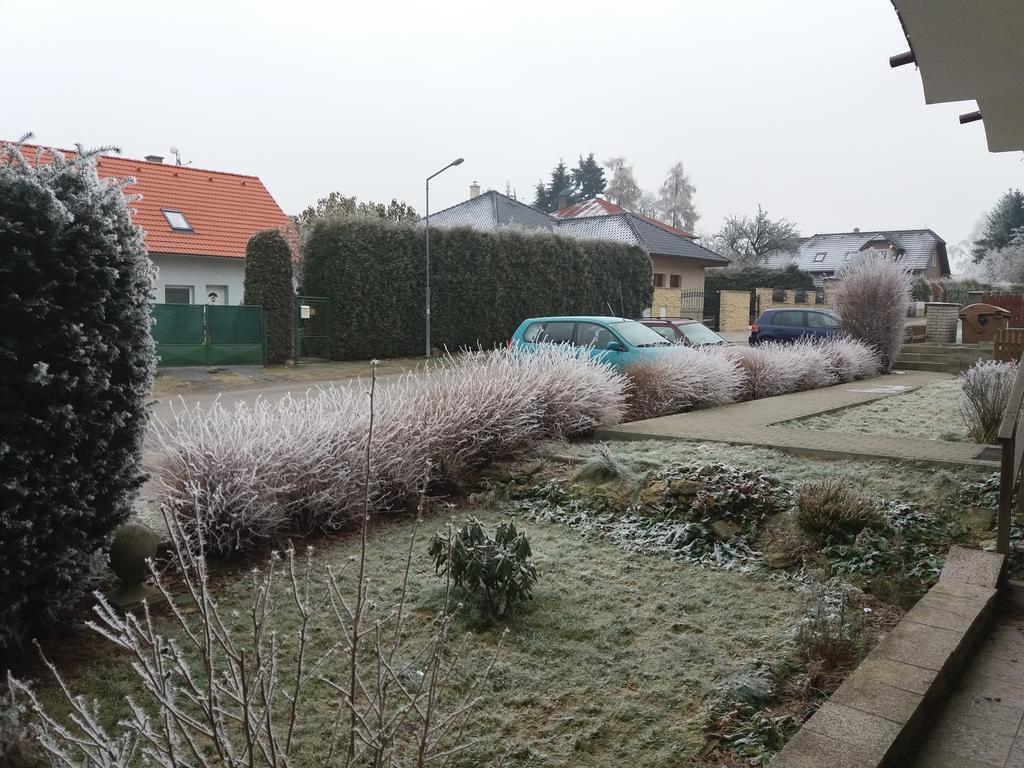 Sedmikraska *